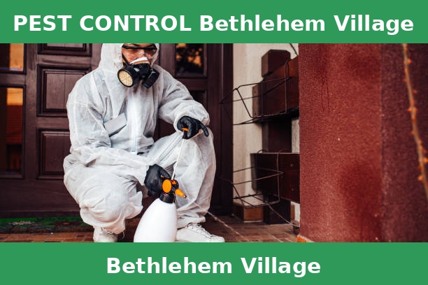 PEST CONTROL Bethlehem Village